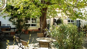An outdoor patio area with a round table and chairs, surrounded by potted plants and a large tree providing shade. - Hotel Herberge zur Traube (Bad Wimpfen)