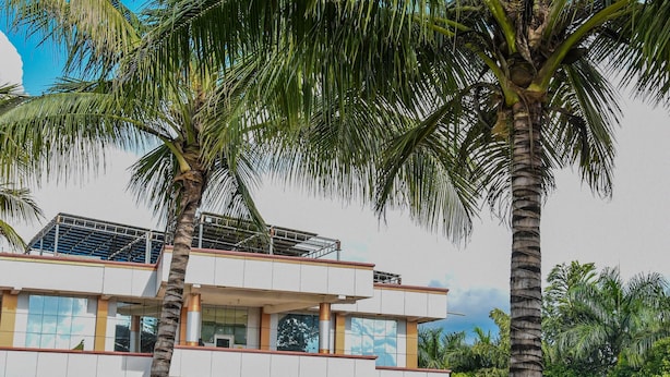 A modern building with a flat roof, surrounded by lush greenery and palm trees.