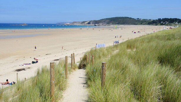 Ein Strand mit einem sandigen Pfad, der zum Wasser führt, umgeben von Gras und Holzpfählen.