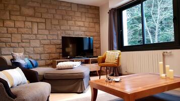 Télévision, cheminée, jeux vidéo, lecteur de DVD