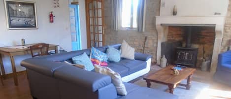 TV, fireplace, video games, DVD player