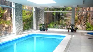 A modern indoor swimming pool with large windows and potted plants. - Sky Palace Hotel (Gramado)