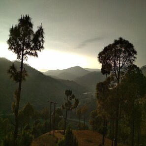 Niet-geclassificeerde afbeelding, 3 van 8, knop