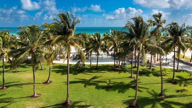 A tropical resort with palm trees and a beach view. - ‼️Stylish Oceanfront‼️ Stay on Iconic Ocean Drive (Miami Beach)