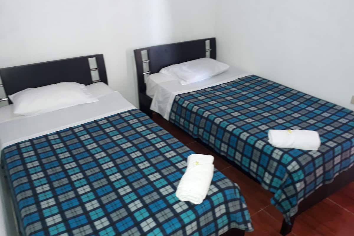 Economy Twin Room | Seterika/papan seterika, cadar katil 