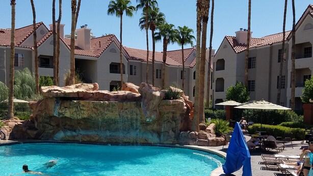 A swimming pool with clear blue water, surrounded by palm trees and a rocky feature.