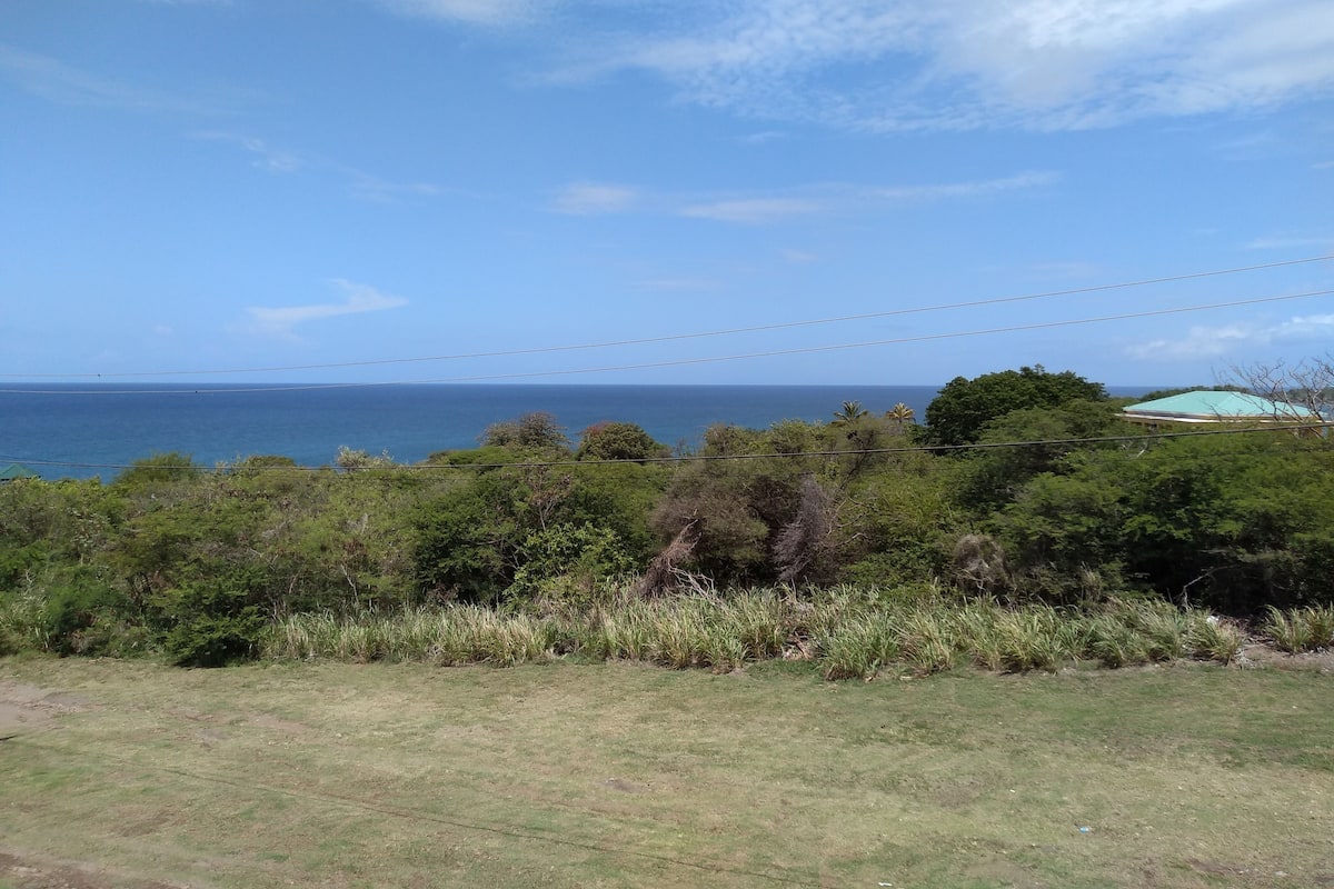 A coastal landscape with a view of the sea, dense greenery, and a building with a green roof.
