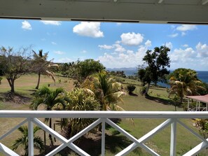 A view from a balcony with a railing, overlooking a grassy area with trees and a body of water in the distance. - Mill House Guesthouse (Basseterre)
