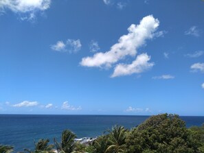 A coastal view with clear skies and ocean. - Mill House Guesthouse (Basseterre)