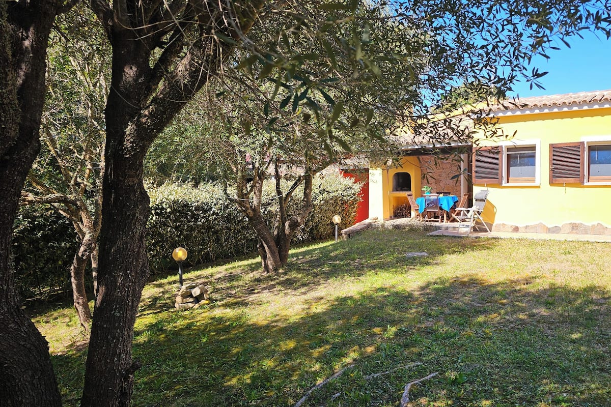 Superior Apartment, 2 Bedrooms, Patio, Garden View | View from room