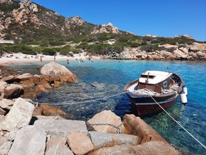 Paseos en barco