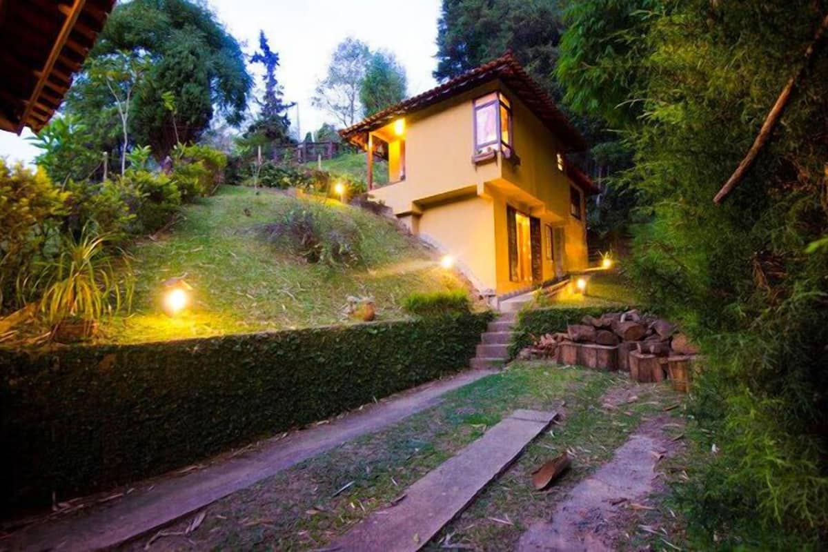 Uma casa com telhado inclinado, cercada por vegetação exuberante e um caminho de pedra que leva à entrada.
