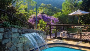 Una piscina con cascada, rodeada de exuberante vegetación y una terraza de madera con asientos.