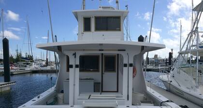 Eddie Griffiths Yöpymiskirjat ja loma-asunnot !!!!!