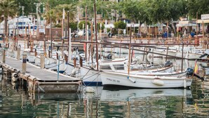 A marina with multiple boats docked, wooden piers, and buildings in the background. - CA SA TIA (SÓLLER) - Townhouse with nice patio in the centre of Sóller. Free WiFi (Sóller)