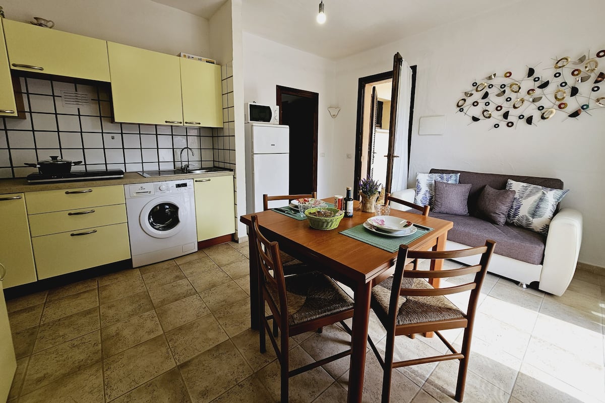 A compact kitchen with a washing machine, a dining table with chairs, and a sofa in a living area.
