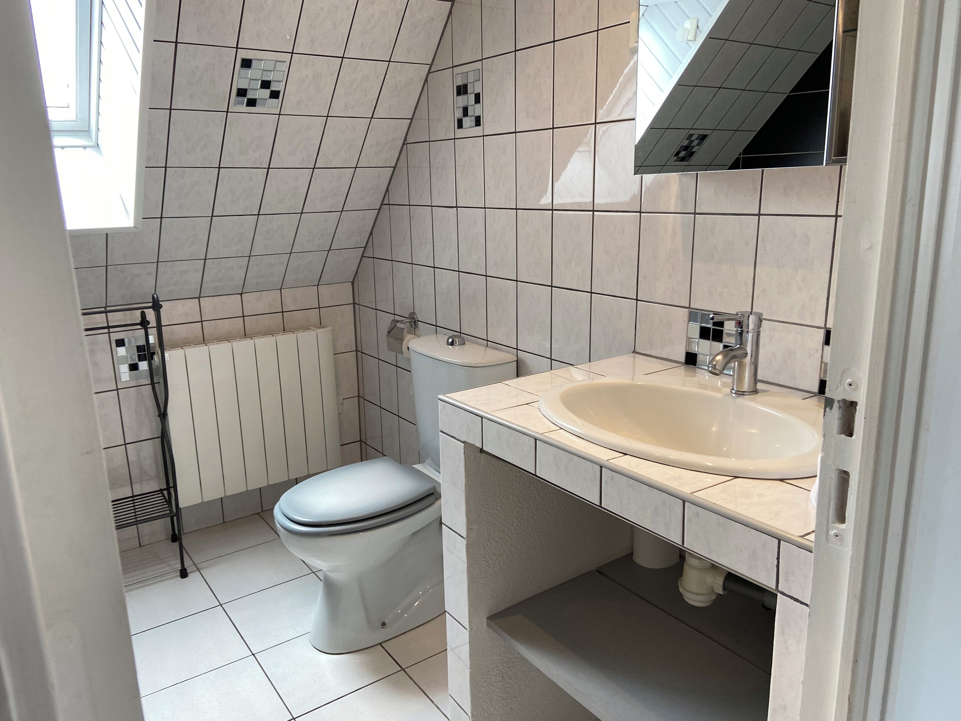 Un bagno piccolo e moderno, con il water, un lavandino e una doccia.