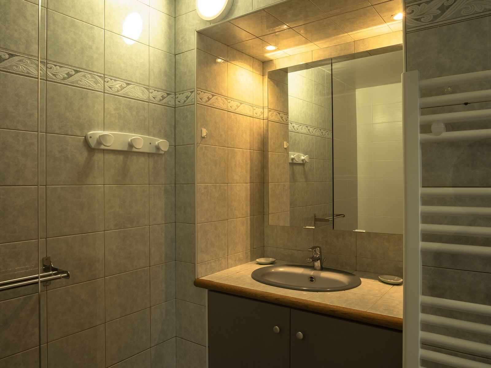 Une salle de bain avec un lavabo, un miroir et un porte-serviettes.