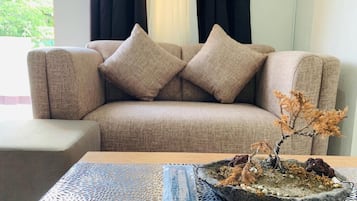 Tv, Netflix, streamingtjenester