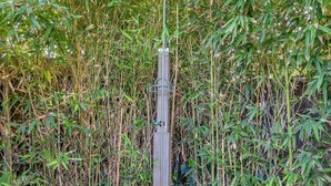A bamboo forest with a metal structure on a wooden platform. - Stinson Beach Vibe - Easy Living w Garden & Outdoors Shower (Stinson Beach)