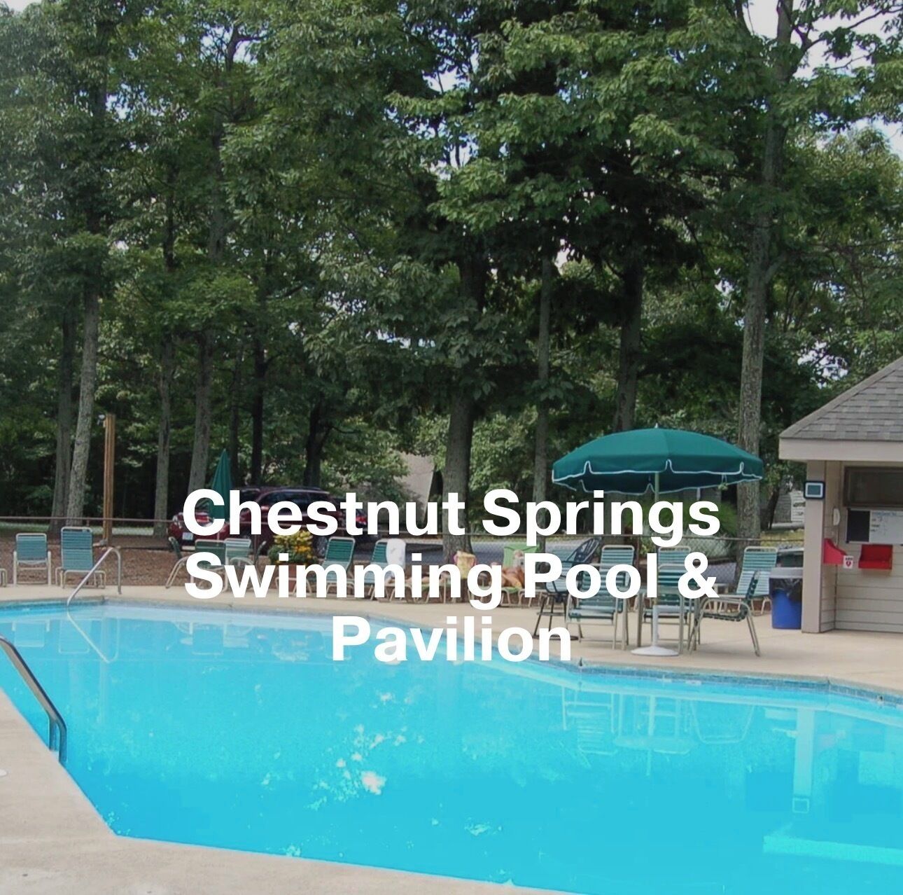 Alberca al aire libre 