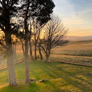 Escape to a serene natural oasis with a grassy field and tranquil seating areas.