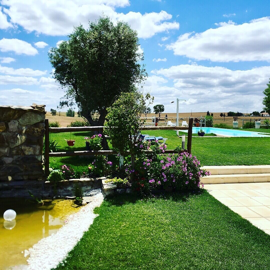 حديقة