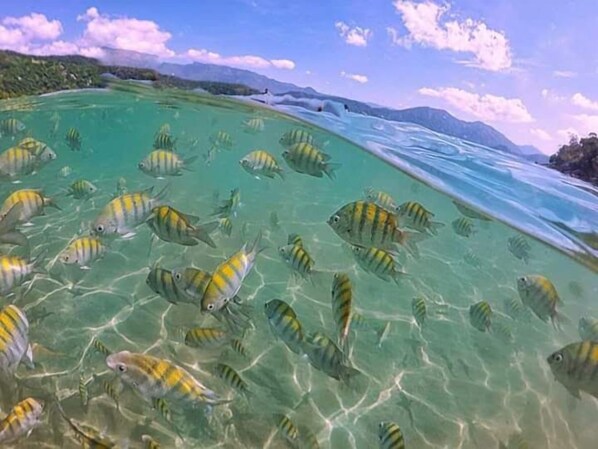 Beach nearby, white sand, beach umbrellas, beach volleyball