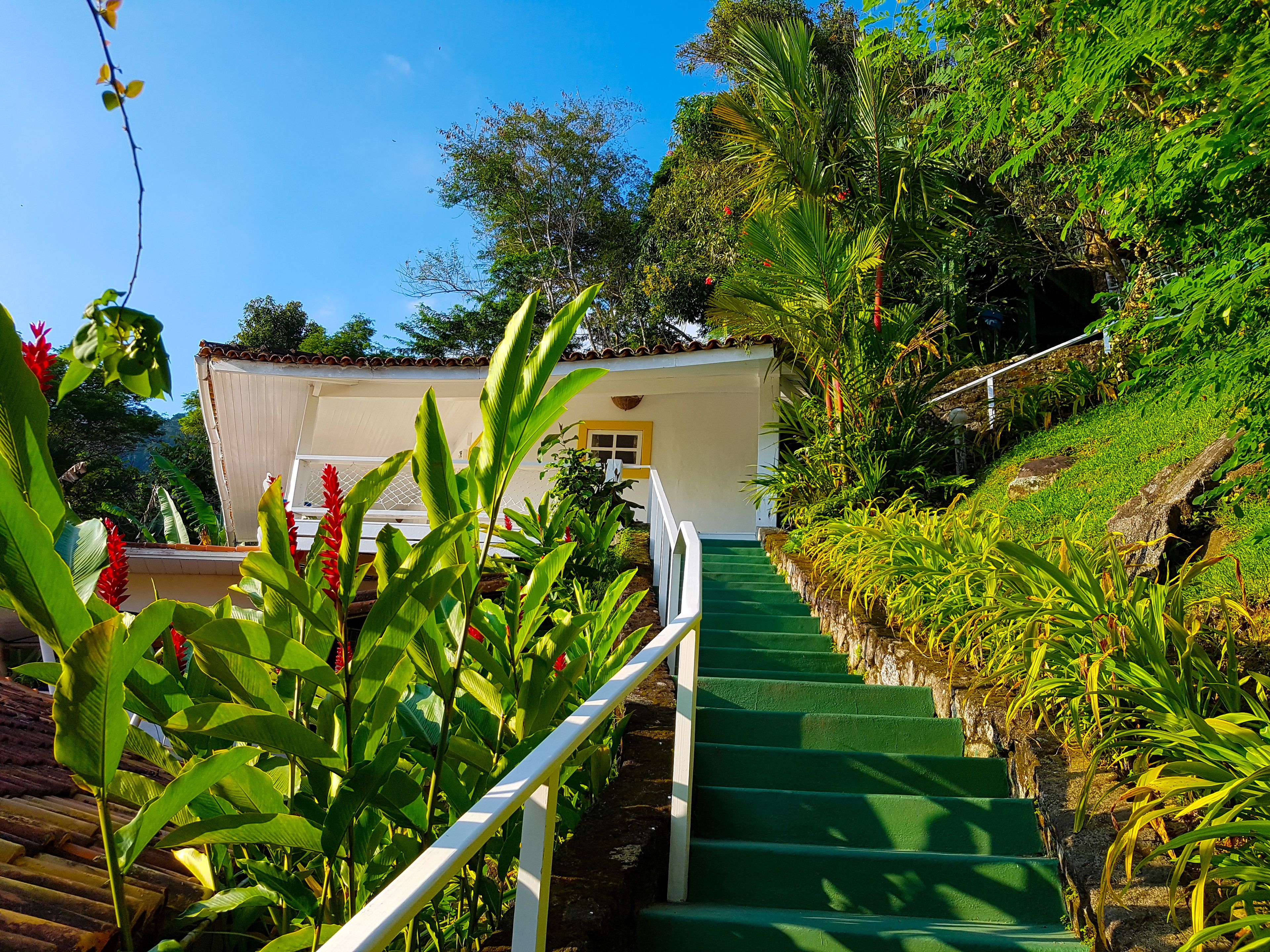 A staircase leading to a building surrounded by lush greenery.