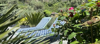 The Garden