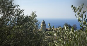A view of a building with a dome and a clear sky. - The Garden (Riomaggiore)