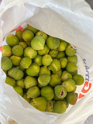 A bag filled with green fruits, possibly guavas, with a white plastic bag and some red and blue text visible. - Aphrodite's Garden (Himarë)