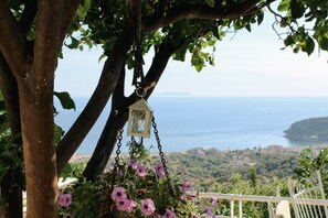 A hanging flower basket with purple flowers and a lantern, overlooking a coastal landscape. - Aphrodite's Garden (Himarë)