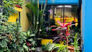 A lush garden with a variety of plants and a blue building with a yellow wall. - Dreamkapture Hostel (Guayaquil)