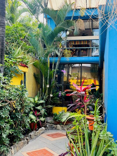 Dreamkapture Hostel