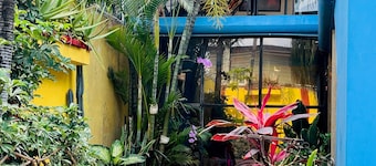 Dreamkapture Hostel