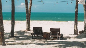 Eine Strandansicht mit Palmen, einer Bank und einem Schild.