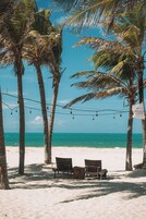 A beach scene with palm trees, a bench, and a sign.