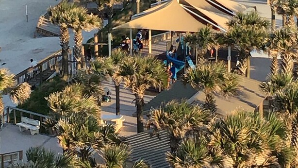 A beach with palm trees, umbrellas, and people. - Welcome to our Beach House ! We have recently totally renovated and refreshed. (Port Orange)