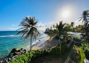 A beach with palm trees, clear blue water, and a sunny sky.