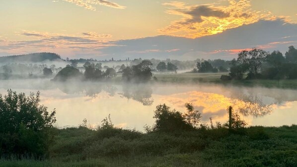 A serene landscape with a calm body of water reflecting the sky, surrounded by trees and vegetation.