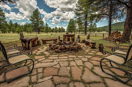Bull Elk Lodge a cozy cabin in the woods of Northern Arizona