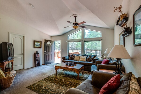 Smart TV, fireplace, DVD player, video library