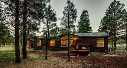 Bull Elk Lodge a cozy cabin in the woods of Northern Arizona