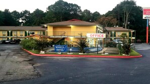 Unclassified image, 4 of 19, button - Carpet Inn (Opelika)