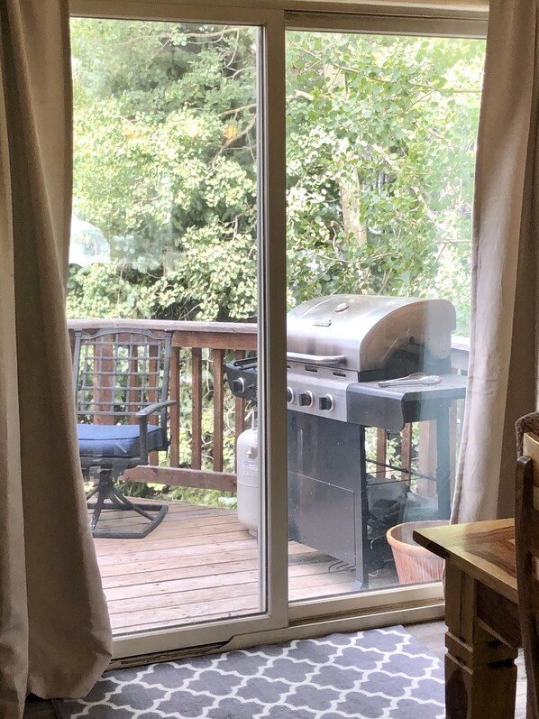 BBQ/picnic area - Honeysuckle House (Dillon)