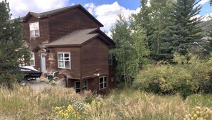 Une maison en bois à deux étages, dotée d’un garage, entourée d’herbes hautes et de fleurs sauvages.