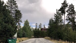 Une route asphaltée bordée de grands arbres et d’une benne à ordures verte.