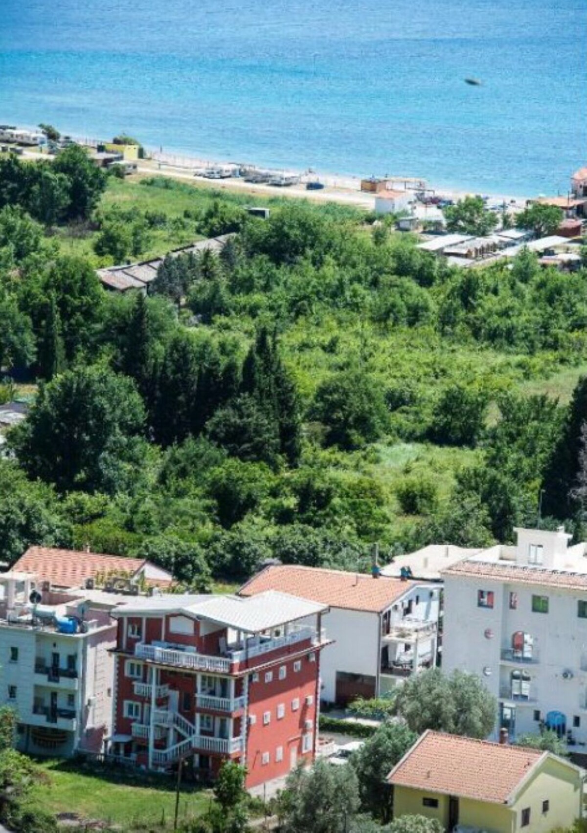 オーナーのプロフィール画像