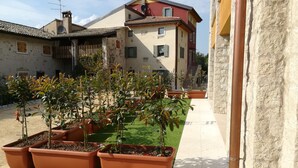 Un patio con macetas y césped verde, rodeado de edificios con balcones y antenas parabólicas.